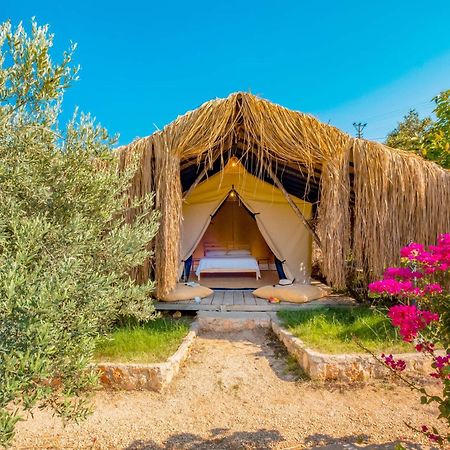 מלון Kas Joy Glamping חדר תמונה