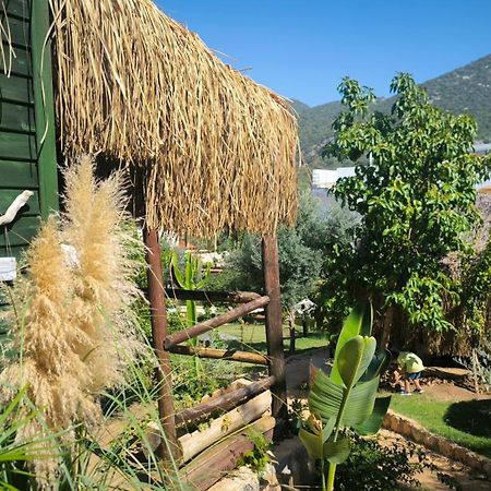 מלון Kas Joy Glamping מראה חיצוני תמונה