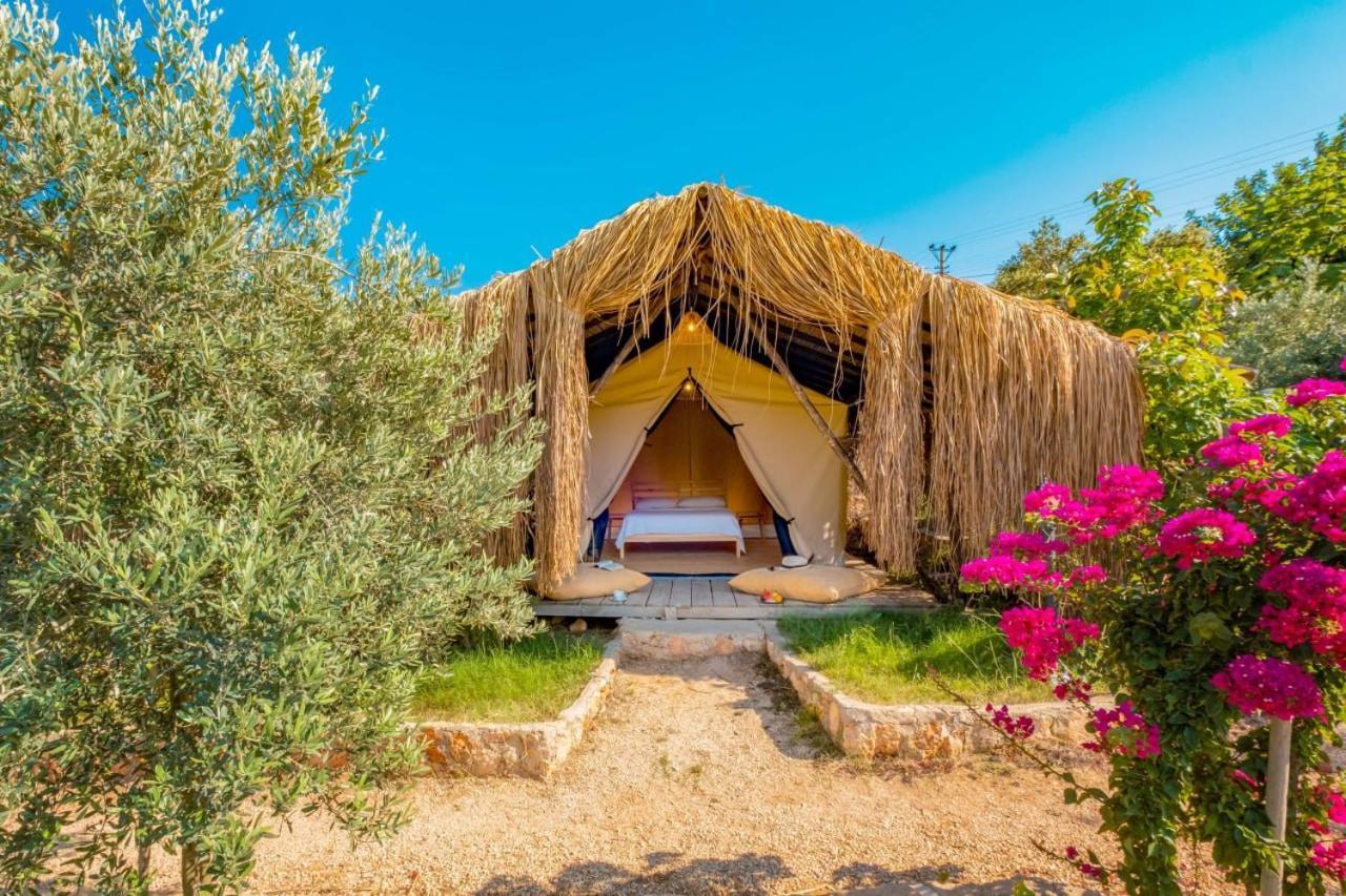 מלון Kas Joy Glamping מראה חיצוני תמונה