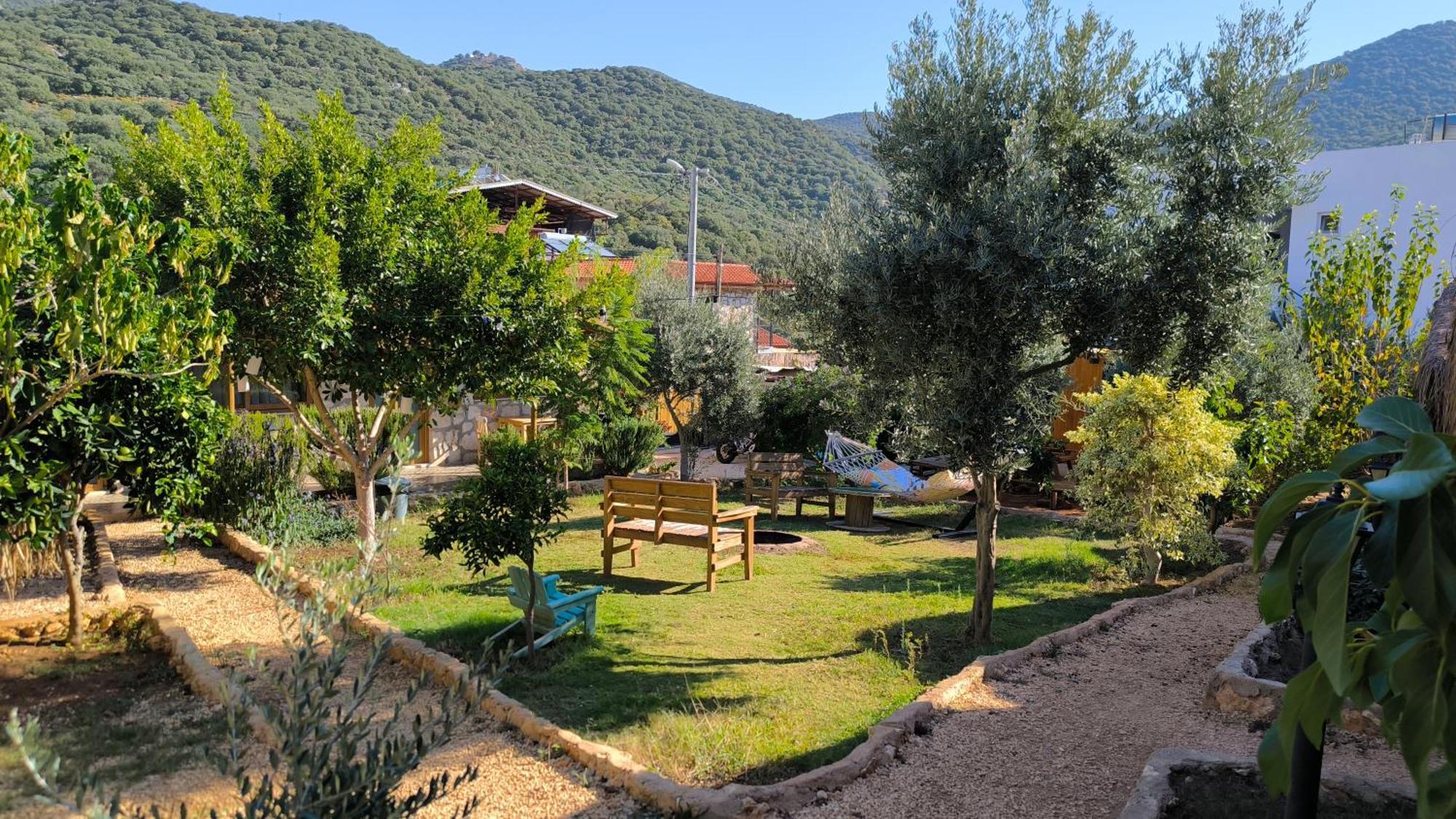 מלון Kas Joy Glamping מראה חיצוני תמונה